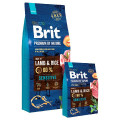 brit-premium-nature-sensitive-lamb-rice