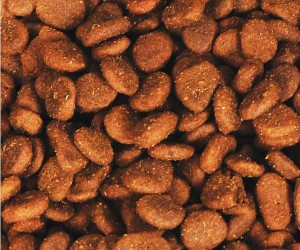 Jedy v granulích pro psy: Jak vzniká a kde najdeme rakovinotvorný akrylamid