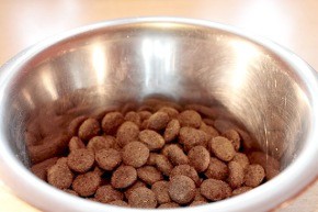 Složení psích krmiv se mění - opravdu je to tak ?